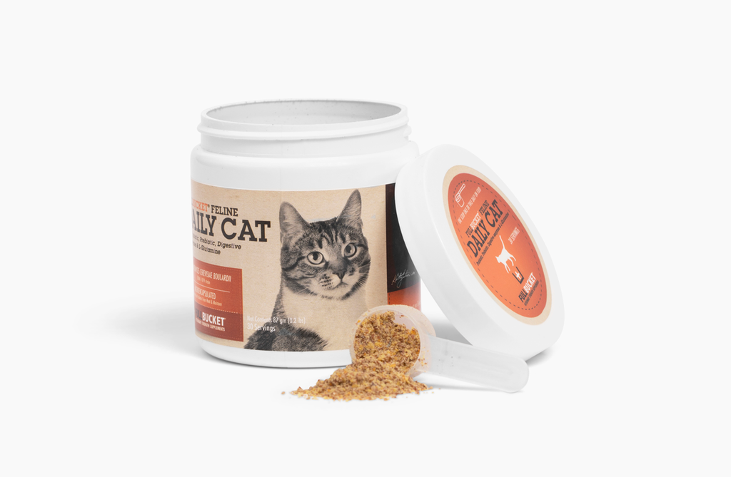 Best cat food for triaditis best sale